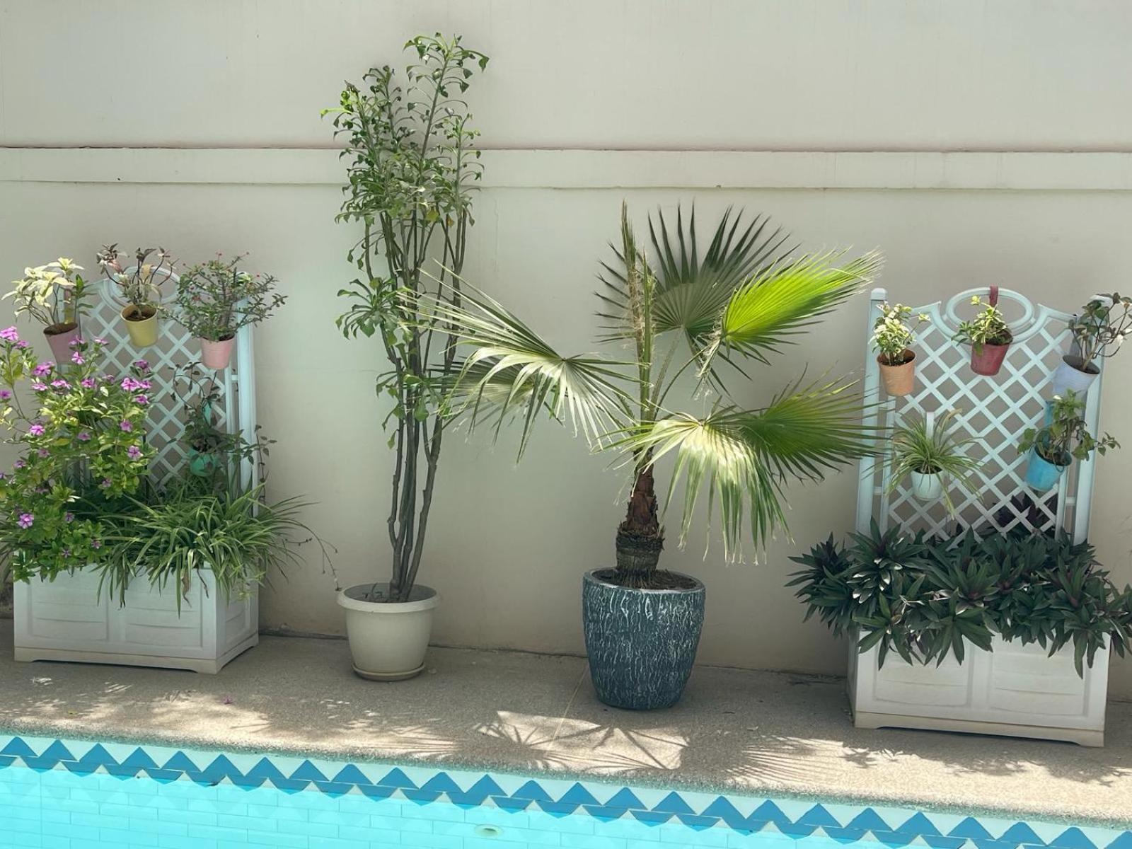 Villa Ngore Saly Экстерьер фото